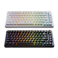 Tecware Ghost 75 RGB Wireless Mechanical Keyboard